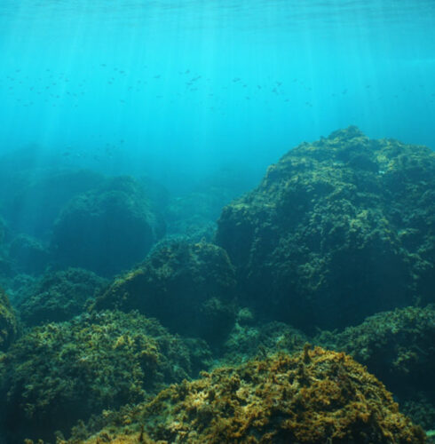 The Desarc-Maresanus project to remove CO2 from the atmosphere