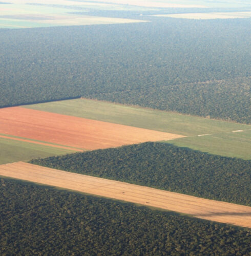 Global hotspots where new coronaviruses may emerge